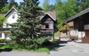 Apartamentai Juodkrantėje Juodkrante